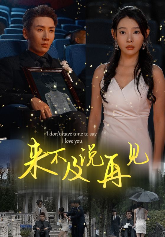 來(lái)不及說(shuō)再見(全集)