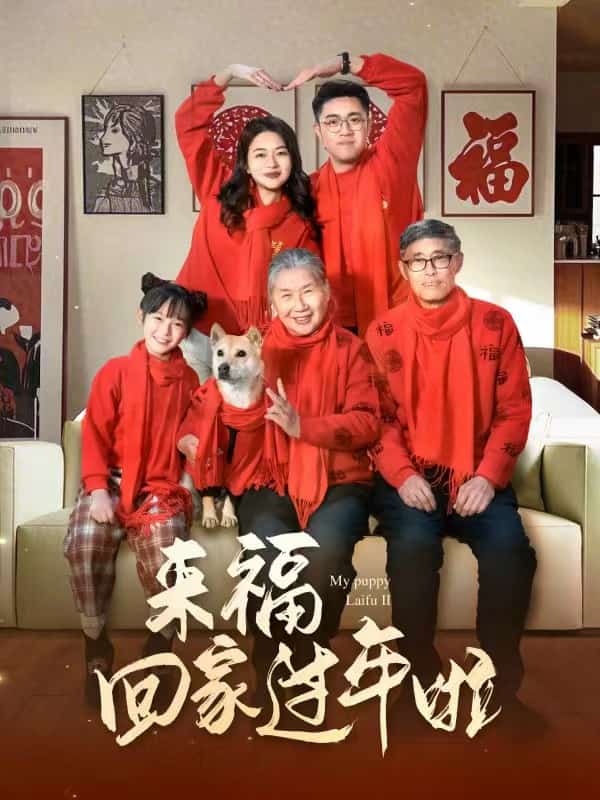 來?；丶疫^年啦(全集)