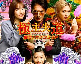 極主夫道 爆笑！砸場(chǎng)子SP